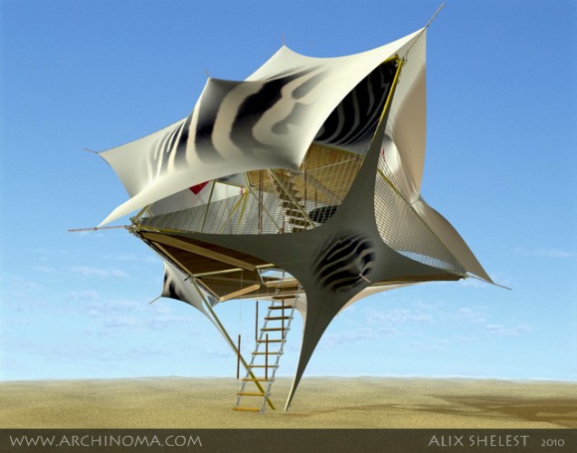 Y-CARRIER : light aviation house